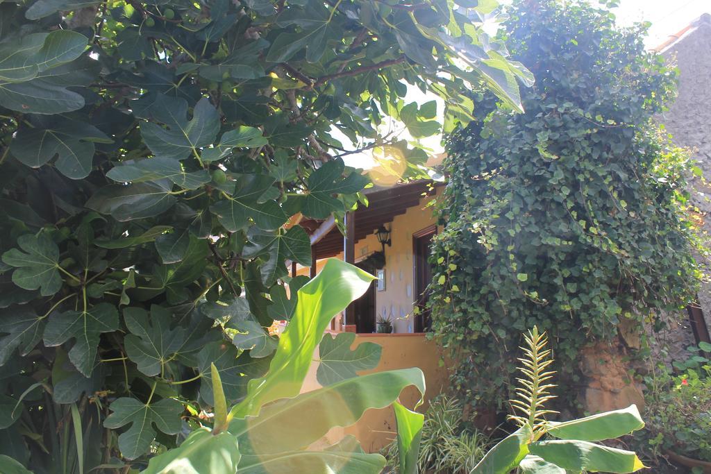 Casa Rural Las Rosas Agulo Номер фото