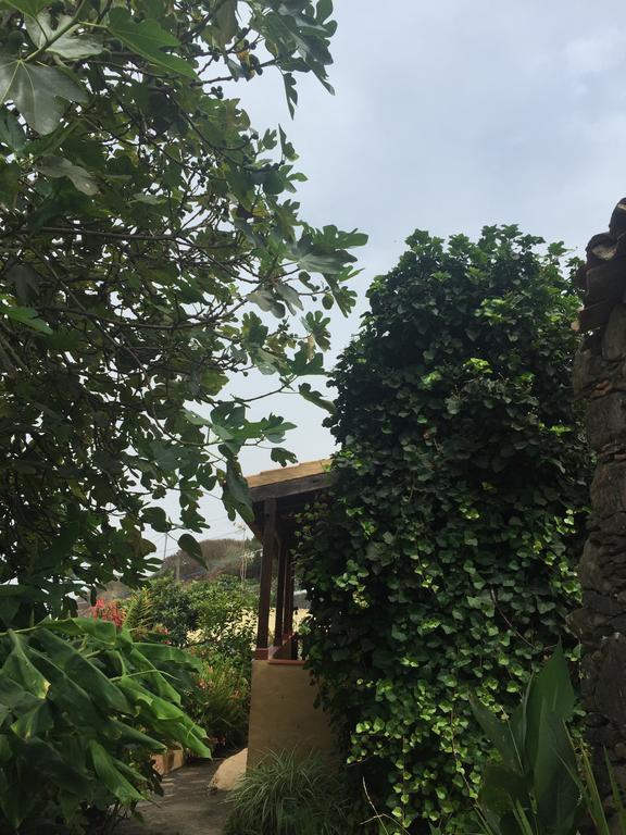 Casa Rural Las Rosas Agulo Екстер'єр фото